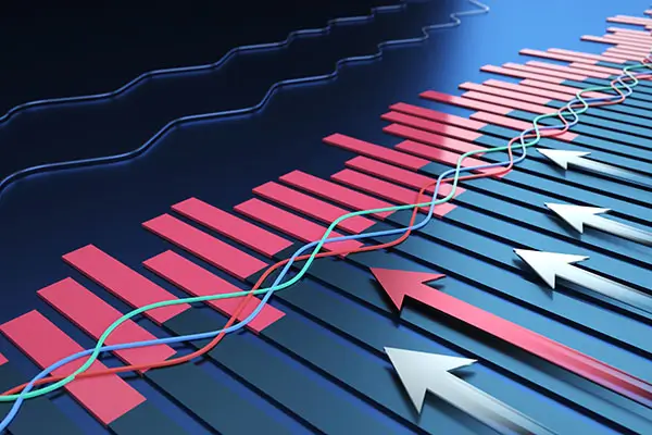 西华大学王梦鑫简介